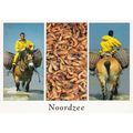 Z. 717: Nordzee: Shrimp Fishermen.