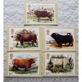 5x1984 Royal Mail postcards - Cattle