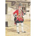 Grenadier Guard 1751 Foot Guards Military Unifo...