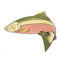 Salmon Freshwater Game Fish Angling Fisherman A...