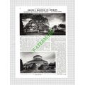 Glasnevin Botanic Garden Dublin Ireland - 1980 ...