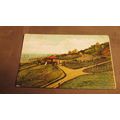 Early Hildesheimer Postcard - Happy Valley - So...