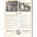 princeton arabians 1972 pri habib al rih shiga ...