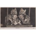 Sweethearts Cat On A Swing Lovers Real Photo Ca...