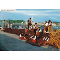 Galicia Marinera Spain Postcard used VGC