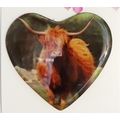 HIGHLAND COW HEART SHAPED ACRYLIC FRIDGE MAGNET