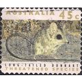 AUSTRALIA, MAMMALS, Long-tailed Dunnart, light ...