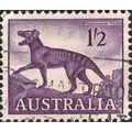 AUSTRALIA, MAMMALS, Thylacine, Thylacinus cynoc...
