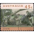 AUSTRALIA, MAMMALS, Koalas, Phascolarctos ciner...
