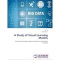 A Study of Visual Learning Models