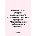 Kisel, A.A. Essays on the current state of Russ...