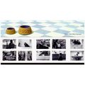 2001 Cats and Dogs Presentation Pack 320 MINT