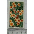 1938 Gallaher's Garden flowers No. 31 Layia