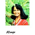 Wania Muslim Pakistan Arab Beauty Queen Lady Gi...