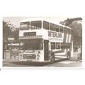 Black & White Photograph of Devon General Ltd. ...