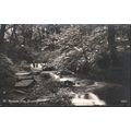 Vintage PC - St. Nectan's Glen, Bossiney, Cornwall