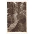 The Wood Walk Callander Postcard J B White 1224