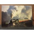 'ERLESTOKE MANOR', steam locomotive engine unus...