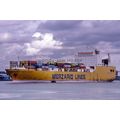SQ0317 - Merzario Lines Containership - Andrea ...