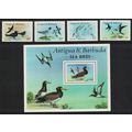 Antigua and Barbuda Noddy Gull Tern Booby Sea B...