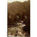 Aberglaslyn Pass, N Wales, 8494 Judges, Postcard