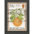 Bermuda 1994 Flowering Fruits 55c, used. SG710A