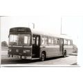 Black & White Photograph of Trent Motor Tractio...