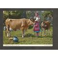Postcard Jersey John Hinde 2J1 A Milkmaid with ...