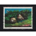 Malta Shells 'Gibbula nevosa' Marine Life 1979 ...