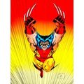Wolverine Omnibus Vol. 2