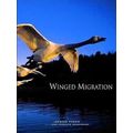 Winged Migration