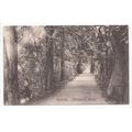 Addison's Walk Oxford Postcard 40023