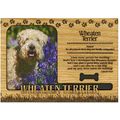Wheaten Terrier Engraved Wood Picture Frame Magnet