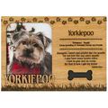 Yorkiepoo Engraved Wood Picture Frame Magnet