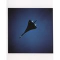 Final Concorde Plane Heathrow Airport Award Pho...