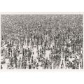 Crowds Thousands Of People Life Alan Burles Ill...