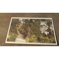 Early R.A.P Postcard - Mill Fields Walk, Hornch...