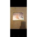 Wooden Butterfly Model Kit Brand New