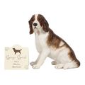 Animal Ornament - Springer Spaniel Dog Ornament