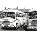 Black & White Photograph of Bedford Coaches of ...