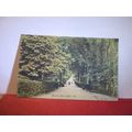 SPENCER ROAD, RYDE, ISLE OF WIGHT. unused antique postcard by J. Welch =