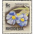 RHODESIA, FLOWERS, Thunbergia lancifolia, brown...