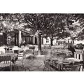 Les Pleiades Barbizon France Real Photograph Po...