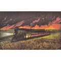 PRAIRIE FIRES OF THE GREAT WEST 1952 Nathaniel ...