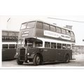 Black & White Photograph of Plymouth Corporatio...