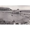 EC877 HOPE COVE - THE HARBOUR. R/P POSTCARD