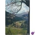 France Postcard 1986 - Les Hautes Vosges...