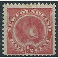Newfoundland 1887 SG49 1/2c Rose-Red Mounted Mi...