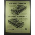 1954 Austin Cambridge and Westminster Cars Advertisement