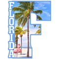 Florida with Flamingo Capital F Collage Design ...